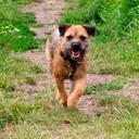 vanessa read - @VBread1 - Twitter