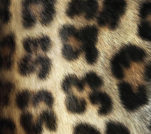 CrystalRudisill's profile picture. 