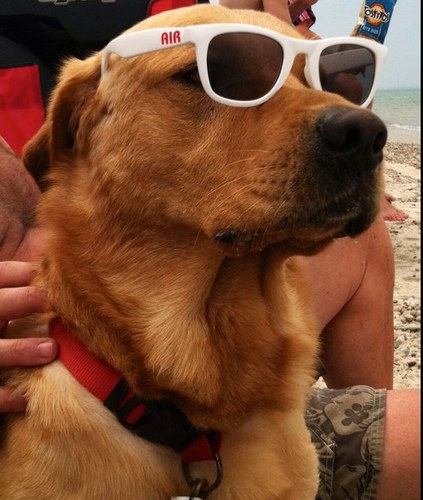 TimothyANeal's profile picture. The Dude abides