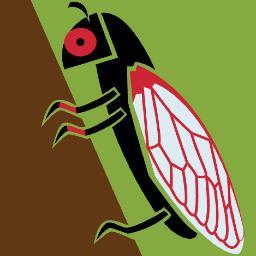 Cicadaphobia's profile picture. 