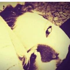 Steffy_haynes's profile picture. Cant wait till October!!!!! :D