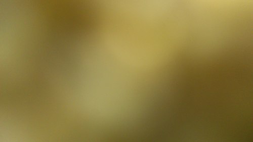 alaminos007's profile picture. 