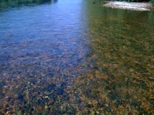 gregjkelley's profile picture. 