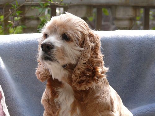 leemausheng's profile picture. 毎日定年の到来を望んでいる台湾大学の刑法教師