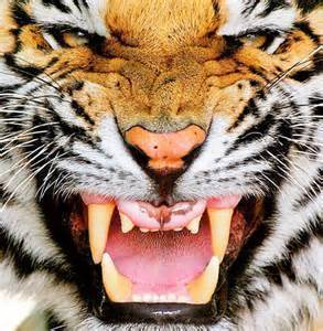 laughter is the best medicine.