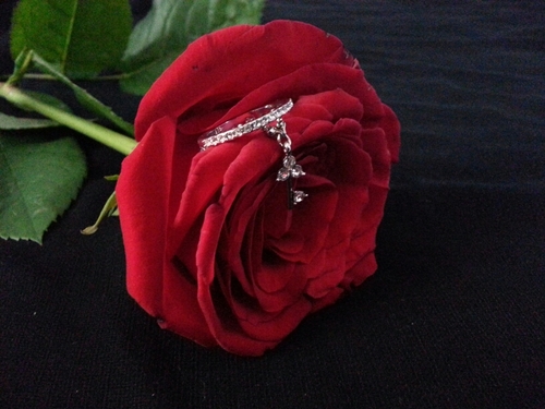 Magy_x7's profile picture. 