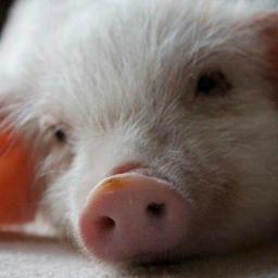 CSosaTX's profile picture. Living and Loving Life