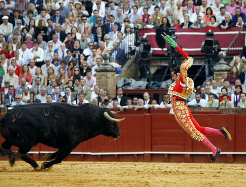 Twitter oficial del matador de toros El Fandi