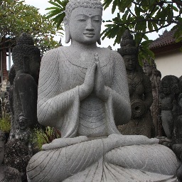 palmparadisemia's profile picture. 