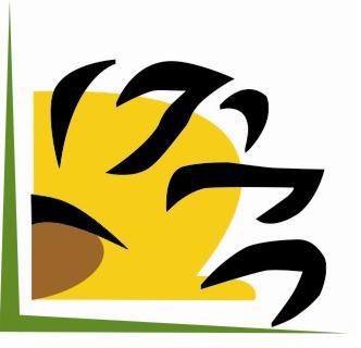 Balkan Sunflowers Kosova