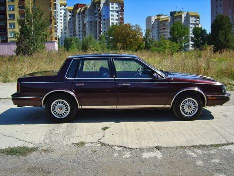 _DaveGraham's profile picture. Long live laserdiscs