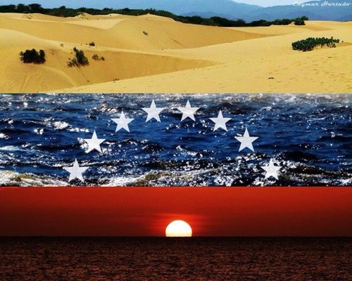 elimeduardo's profile picture. Venezolano... y todo lo que eso significa