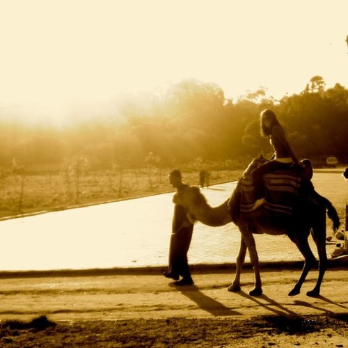 aliciapassante's profile picture. 