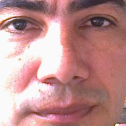 Perefari's profile picture. 