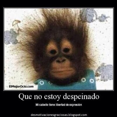 Alex_Fdez_Trezi's profile image