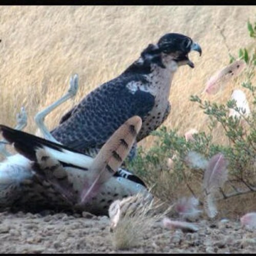 Mitb2014's profile picture. 