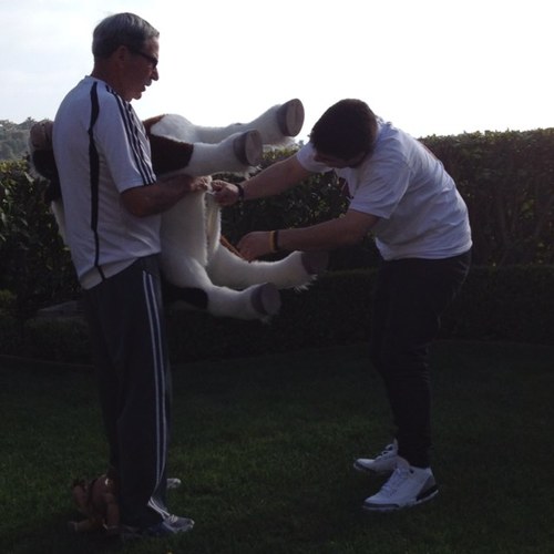 tg_345's profile picture. 