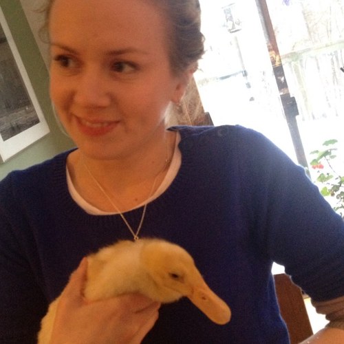 JulieAStrother's profile picture. 