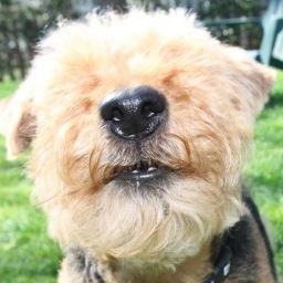 My job is to play ball, and fetch, and..
Follow to see me again! :)