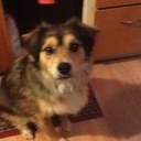 Tanya Ward - @Zacra2000Tanya - Twitter