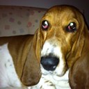 ellen moses - @ellenmoses215 - Twitter