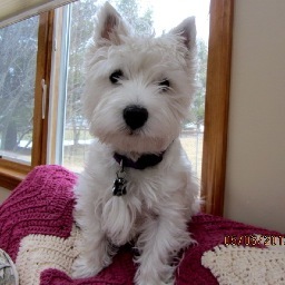 gkbenedict's profile picture. 