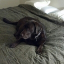 Peter Zeeb - @petezeeb - Twitter