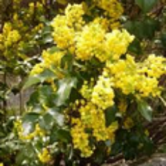 ioregoni's profile picture. @What_DAY_isiT @iLiFEi iS BEAUTiFUL EVERYDAY @iMONDAYi @iTUESDAYi @iWEDNESDAYi @iTHURSDAYi @iFRiDAYi @iSATURDAYi @iSUNDAYi @iFAMiLYi @iFRiENDSi @iSUNSHiNEi #k2