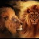 Roberto Lastra - @RobertoLastra16 - Twitter