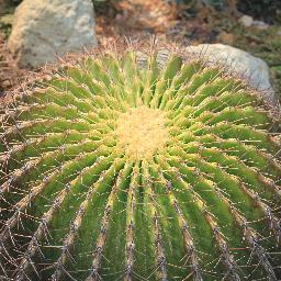 goodeonejon's profile picture. Living life's big adventure