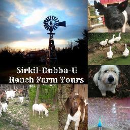 SirkilDubbaU's profile picture. A small piece of heaven, supported by hard working Genius Husband, and this crazy old woman!