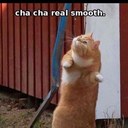 m - @meagan_welsh - Twitter