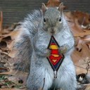 Chris Minor - @MrChrisMinor - Twitter