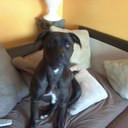 Ken Morrow jr - @morrow_ken - Twitter