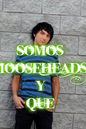 somos mooseheads y que somos una pagina donde puedes subir lo que quieras @mitchelmusso te amamos 3 #TeAmMooseheds