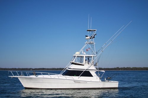 BlueWaterPCB's profile picture. Blue Water Connection Panama City Beach Charter Fishing Boats - Catch Trophy Marlin, Dorado, Wahoo with us!