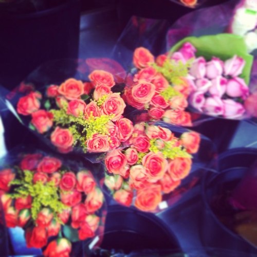 lisamzahn's profile picture. 