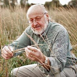 forevergreen123's profile picture. 