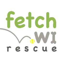 Fetch Wisconsin saves the lives of at-risk dogs in high-kill shelters by providing care and rehabilitation and matching them with loving, forever homes.
