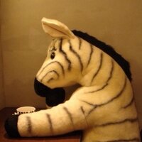 non (@n_non) 's Twitter Profile