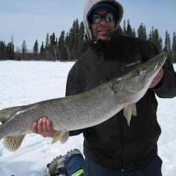 T9060's profile picture. 