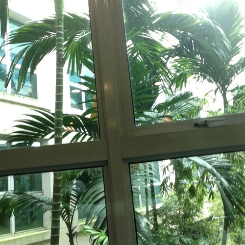 sabbagh611's profile picture. 