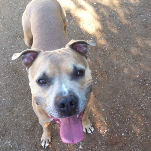 gregore71sporty's profile picture. 