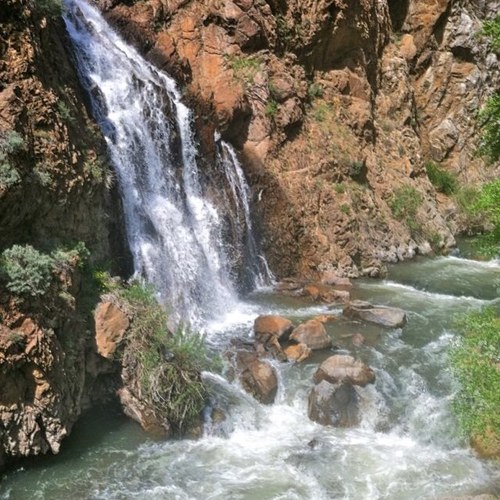 girl_mountain's profile picture. 