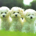 Sandy Valencia - @SandyValencia14 - Twitter