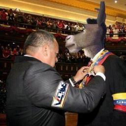 TIBISAY ME VOLVISTE A ROBAR