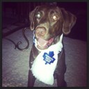 Natalie Amaral - @natalie_amaral - Twitter