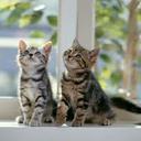 Paul Lawrence Perez - @paulzki14 - Twitter