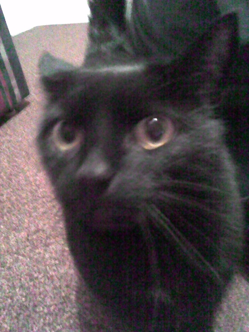 SoniaG75's profile picture. 