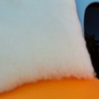 激おこぷんぷん丸 (@gachapin3) Twitter profile photo